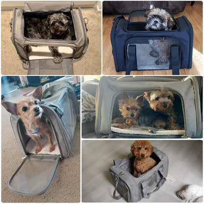 Travel Pet Carriers for Cats and Puppies – Lightweight, Collapsible, and Airline Approved 