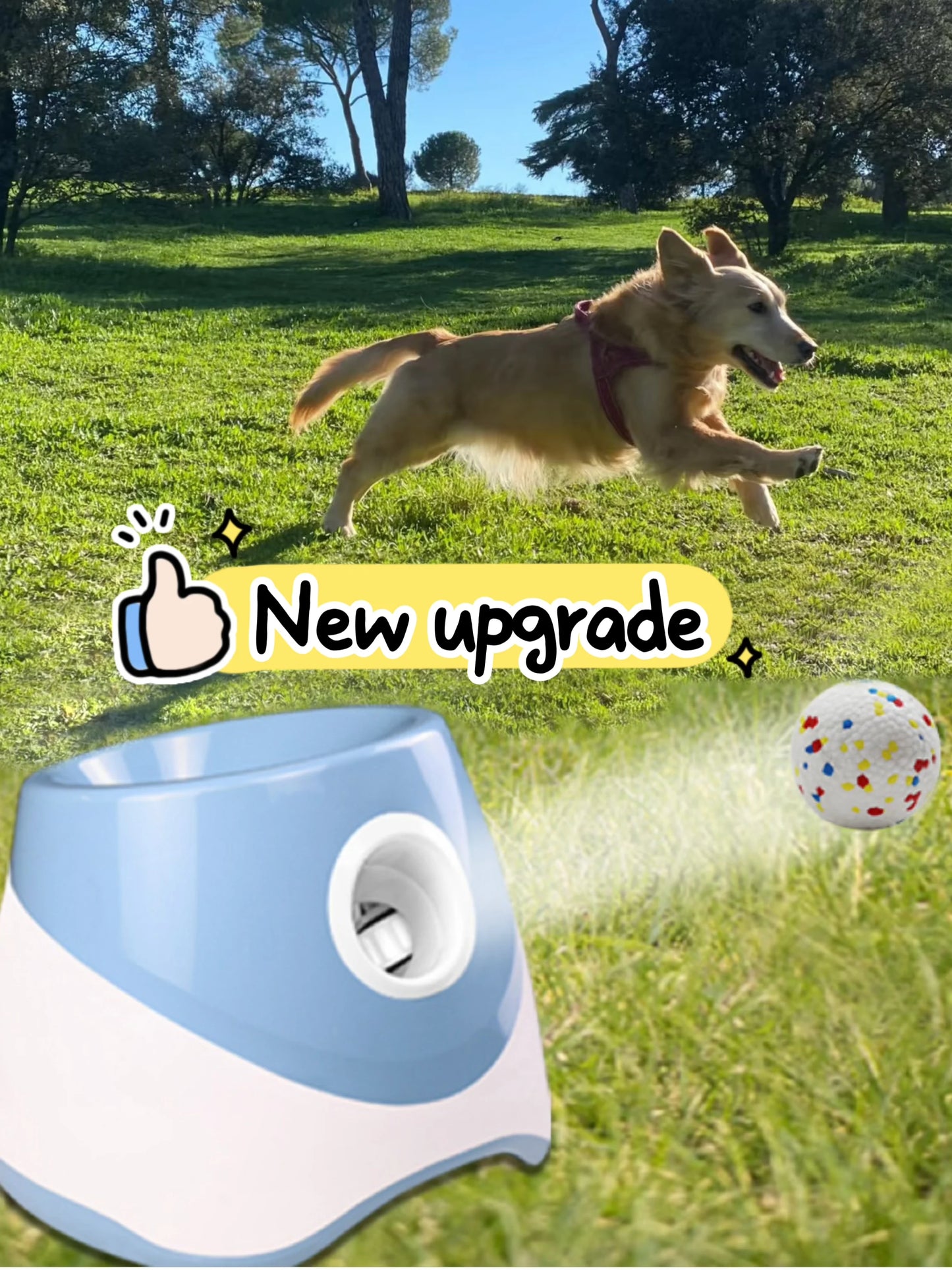 Fetch Fun Automatic Dog Launcher