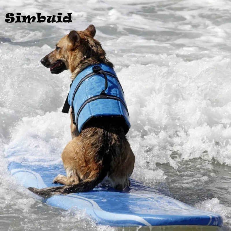 Safe & Stylish Dog Life Vest