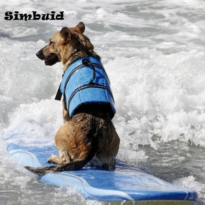 Safe & Stylish Dog Life Vest