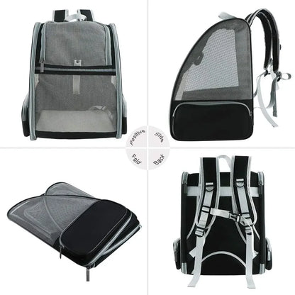 Comfy Cat Travel Backpack