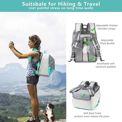 Adventure Pet Backpack