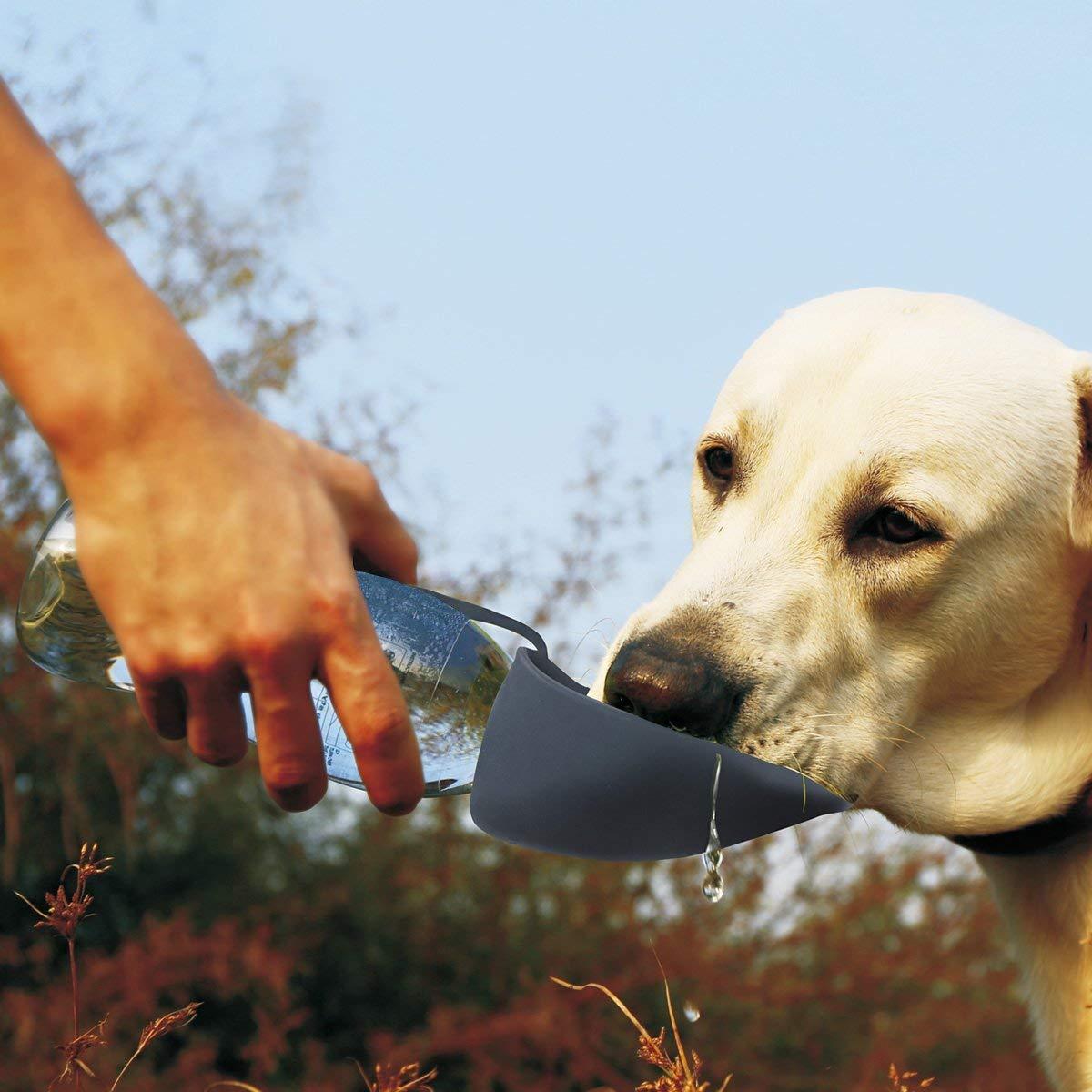 Portable Pet Water Bottle – Hydration On The Go for Your Pet - Yappyboo