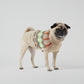 Vintage-Inspired Turtleneck Dog Sweater – Cozy & Stylish